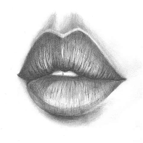 How to Draw Realistic Lips: Easy Step by Step. Step 1: Draw a horizontal line lightly with your pencil. Step 2: Draw a short vertical line down the middle of the first line. Draw this line lightly because we’re going to erase it later. Step 3: Draw a “v” shape just above the short vertical line we made. This will be the top of the lip, or ...